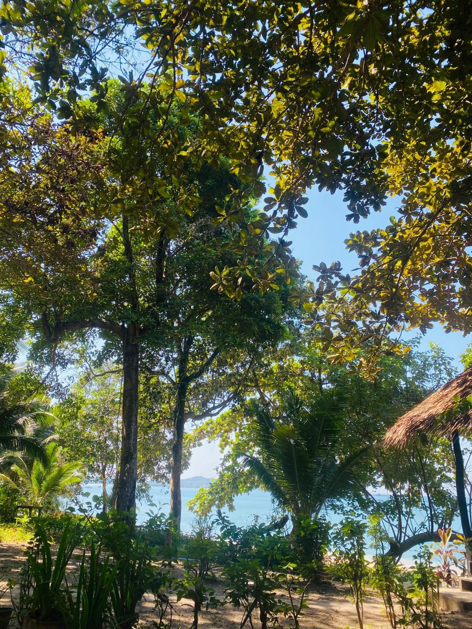 Banana Resort Koh Phayam Bagian luar foto